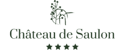 CHATEAU DE SAULON
